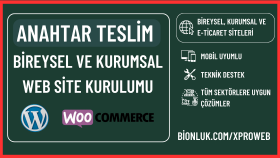 anahtar teslim web sitesi kurulumu yaparım