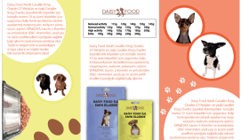 Daisyfood tasarımı