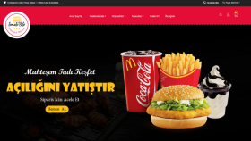 Anahtar Teslim Web Sitesi