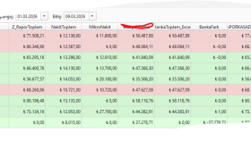 Excel rapor hazırlama