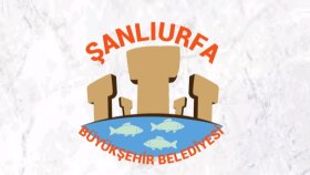 profesyonel logo tasarlarım