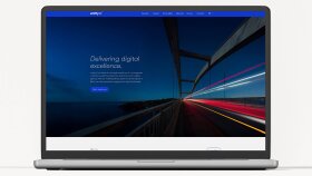 Entity X - WordPress