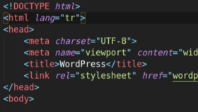 sitenizi JavaScript, .Net ve Php ile sıfırdan yazabilirim