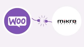 web sitenizi mikro muhasebe programına entegre ederim