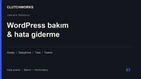 WordPress hatalarını giderir ve sitenizi hızlandırırım