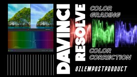 Color Correction & Color Grading
