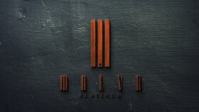 Malva Yapı İnşaat Logo Çalışması
