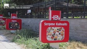 Üniversite Seslendirme