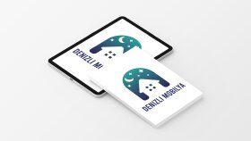 Denizli Mobilya Logo Tasarım