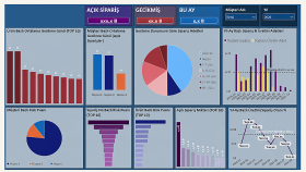 ERP ve Excel verilerinizden Power BI raporu hazırlarım