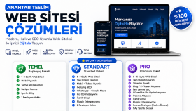 profesyonel web site anahtar teslim yapıyorum