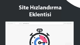 Perfmatters Pro eklentisini kurabilirim