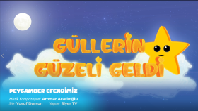 Şarkı Animasyon