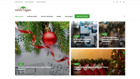 Ceviz Ağacı - Blog Sitesi