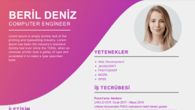 MS Office programlarının tümünü kullanırım