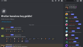 Yayıncı için hazırlanmış discord sunucusu