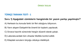 Word Belgesi Formatlama ve Örnek Soru Dizgisi Çalışması