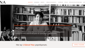 Nazire Akbulut-Akademik Site
