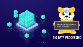 Token Satışı Portfolio