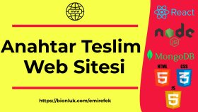 size özel kodlanmış panelli websitesi oluşturabilirim