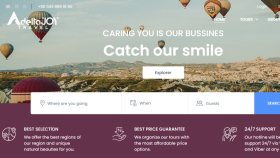 Delta Joy Travel - Web sitesi Kurulumu