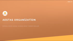 Aestas OrgCo. | Kurumsal Web Sitesi Tasarımı ve Geliştirmesi