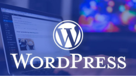 Wordpress web sitenizi yapabilirim