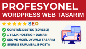 wordpress ile web sitesinizi profesyonel olarak hazırlarım