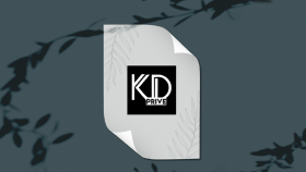 Giyim Sektörü Profesyonel Logo Çalışması