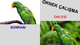 Fotoğraf Arka Plan Kaldırma – Örnek Çalışma