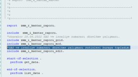 abap yazılım uzmanıyım