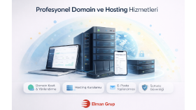 Profesyonel Domain ve Hosting Hizmetleri