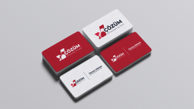 Çözüm Veteriner Kliniği Logo Tasarımı