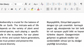 kelimelerin anlam bütünlüğünü bozmadan çeviri yaparım