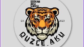 Özgün logo tasarımları