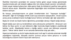 İnternet siteniz için ilgi çekici yazıları hazırlayabilirim