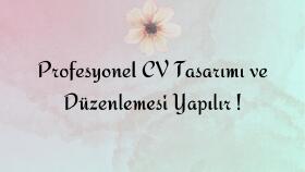 profesyonel cv tasarımı ve düzenlemesi yapıyorum