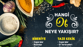Union İstanbul - Sosyal Medya Görselleri