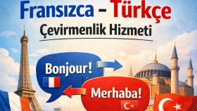 Türkçe-Fransızca çeviri, video altyazı çevirisi yapabilirim