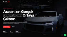 BLACKLINE - Premium Auto Detailing Web Sitesi
