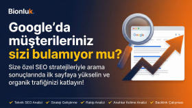 uzman bir danışman olarak SEO denetimi yaparım