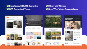 PageSpeed 100/100 Hedefli & Core Web Vitals Onaylı Website