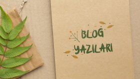 Blog makale & içerik hizmeti