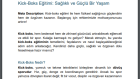 Kick-boks eğitimi veren bir spor kulübü için yazdığım içerik