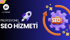 profesyonel seo hizmeti veririm