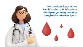 Yaşam Bankası 3D Motion Bilgilendirme Videosu