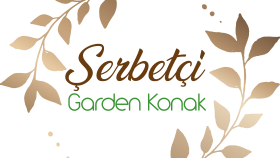 logo konusunda yardımcı olabilirim