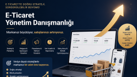 e-ticaret yönetim danışmanlığı yapıyorum
