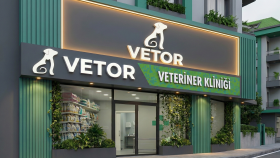 Vetor Veteriner Kliniği – Kurumsal Kimlik Tasarımı