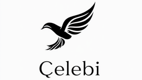 sizin için minimal logo tasarlayabilirim